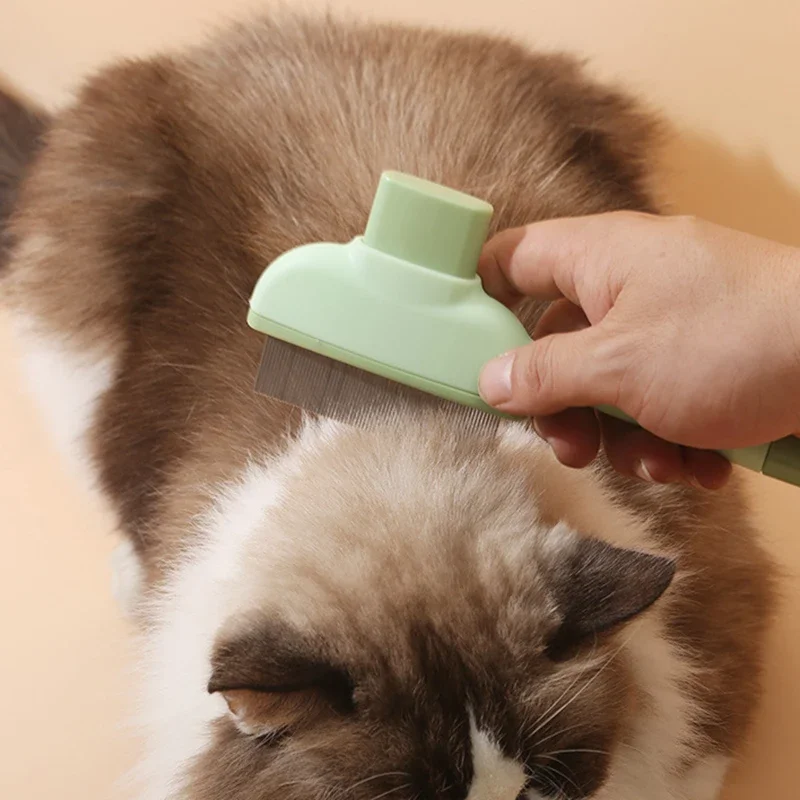 Pet Cat Comb Cat and Dog Hair  - Beauty Makeup Artist review and price