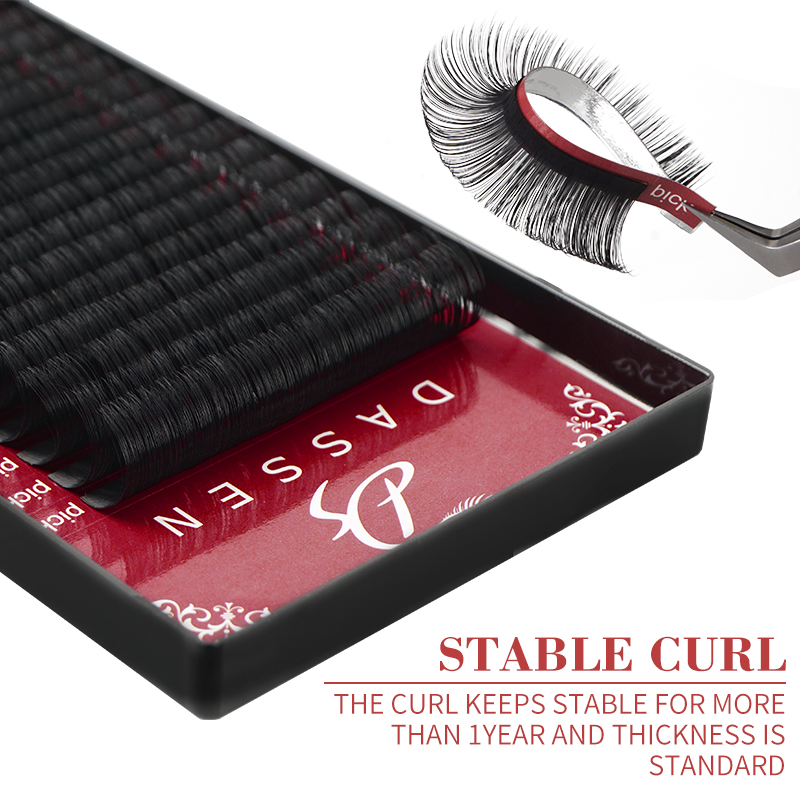 Dassen 20rows Classic Individu - J Beauty Makeup review and price
